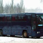 фото Заказ автобуса в аквапарк г. Екатеринбург "Лимпопо"